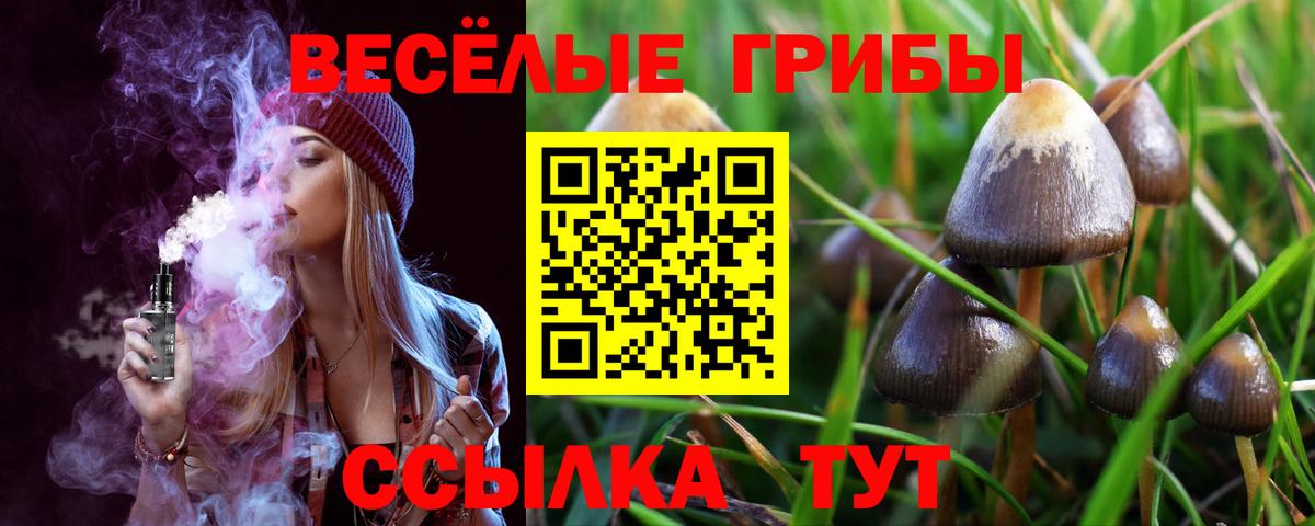 Псилоцибиновые грибы Cubensis  Псилоцибиновые грибы Psilocybe  Волжский  Вход с VPN 